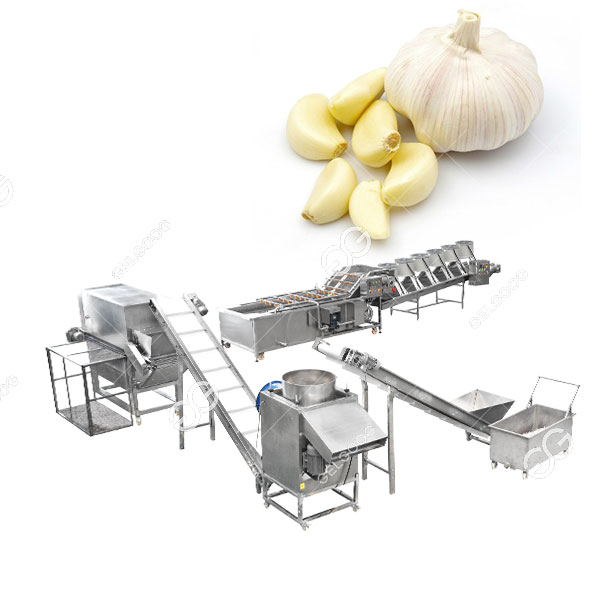 garlic peeling production line