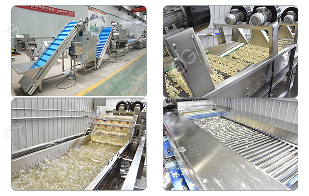 garlic-peeling-processing-plant